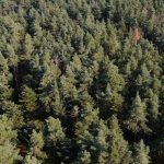 Comprendre le greenwashing : décryptage des pratiques trompeuses