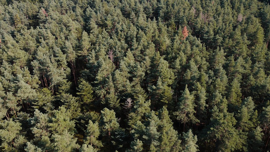 greenwashing c est quoi